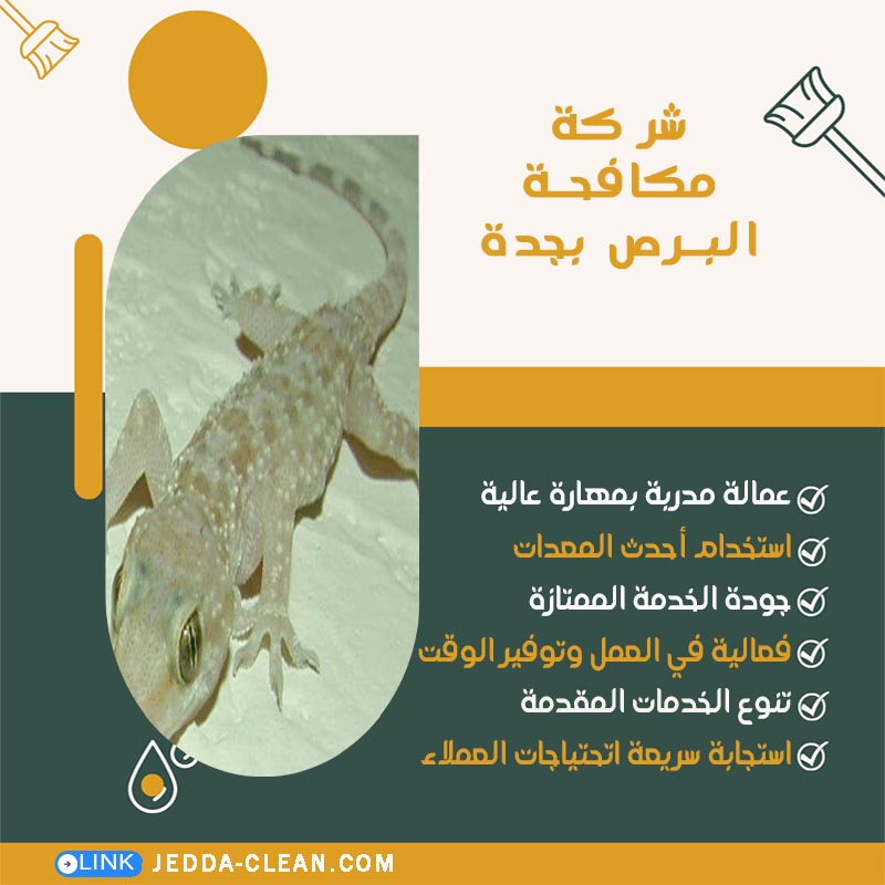 شركة مكافحة البرص بجدة