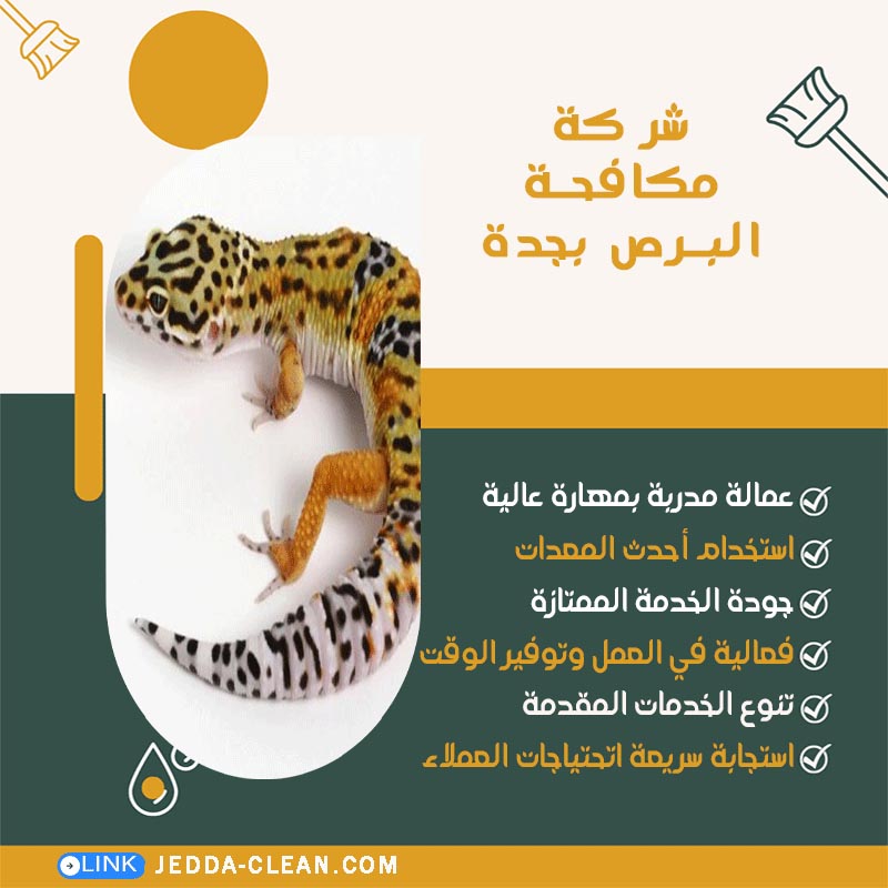 شركة مكافحة البرص بجدة