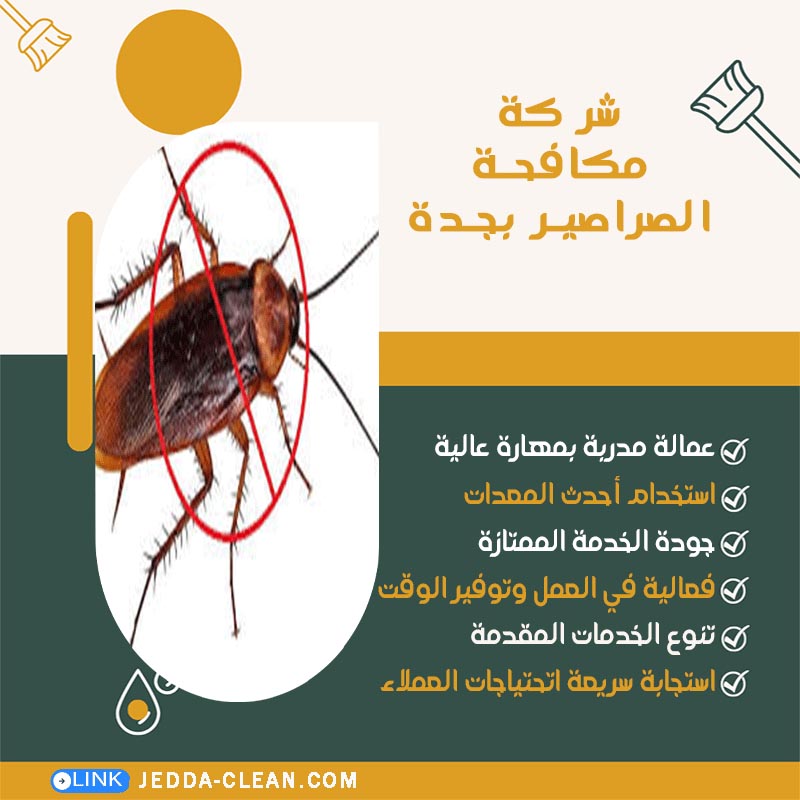 شركة مكافحة الصراصير بجدة