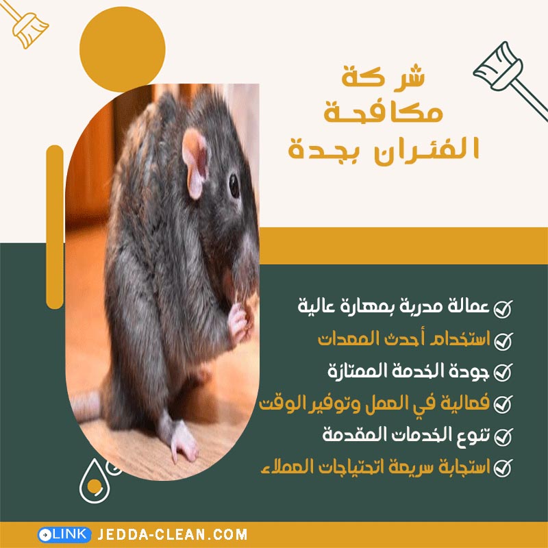 شركة مكافحة الفئران بجدة