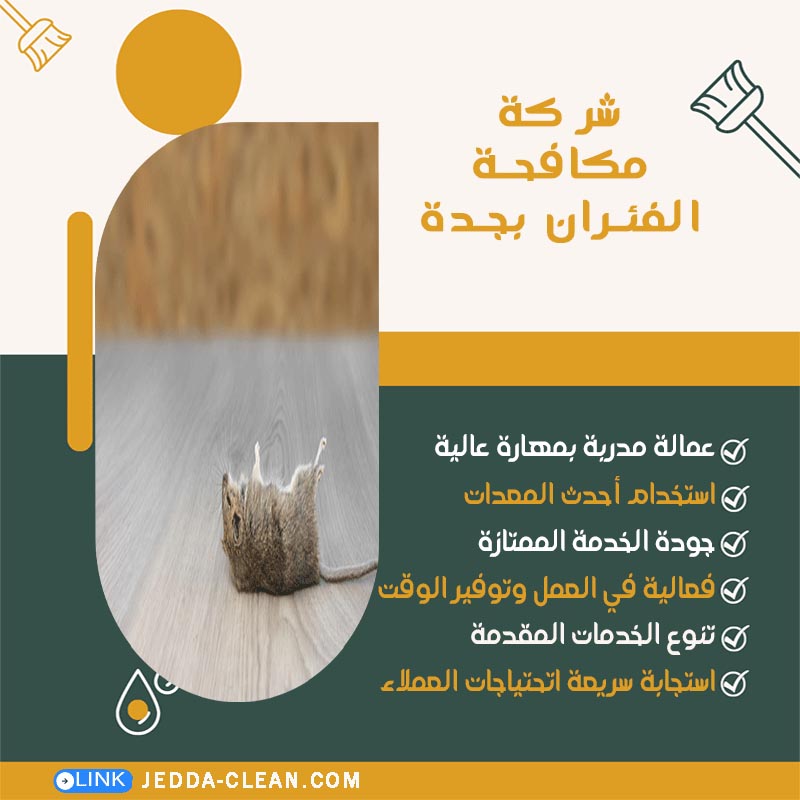 شركة مكافحة الفئران بجدة
