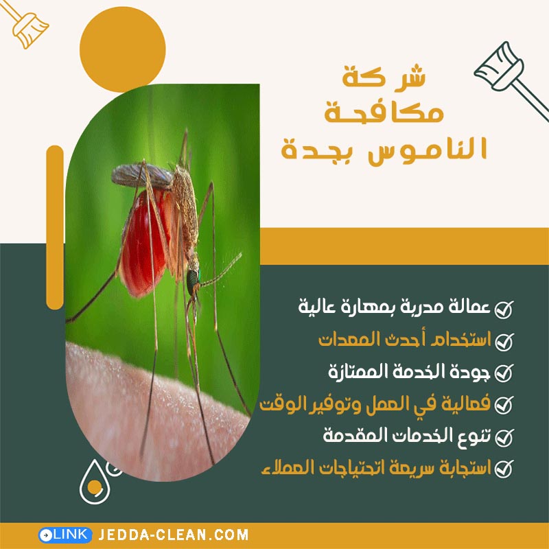 شركة مكافحة الناموس بجدة