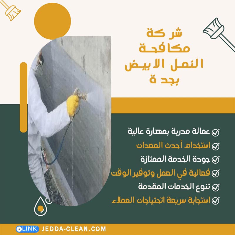 شركة مكافحة النمل الابيض بجدة