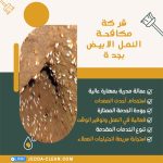 شركة مكافحة النمل الابيض بجدة