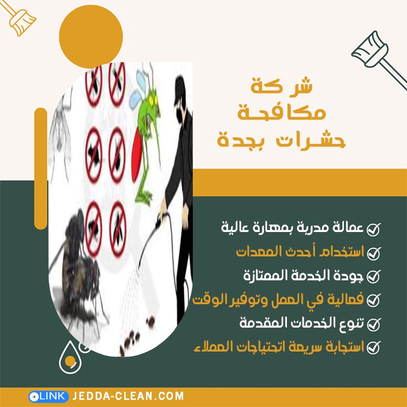 شركة مكافحة حشرات بجدة